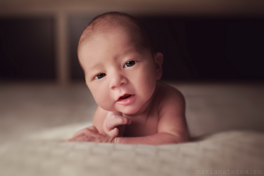 fotografie nou nascut andi nicolas