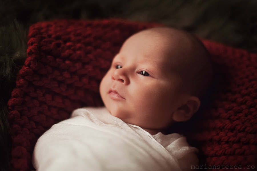 fotografie nou nascut andi nicolas