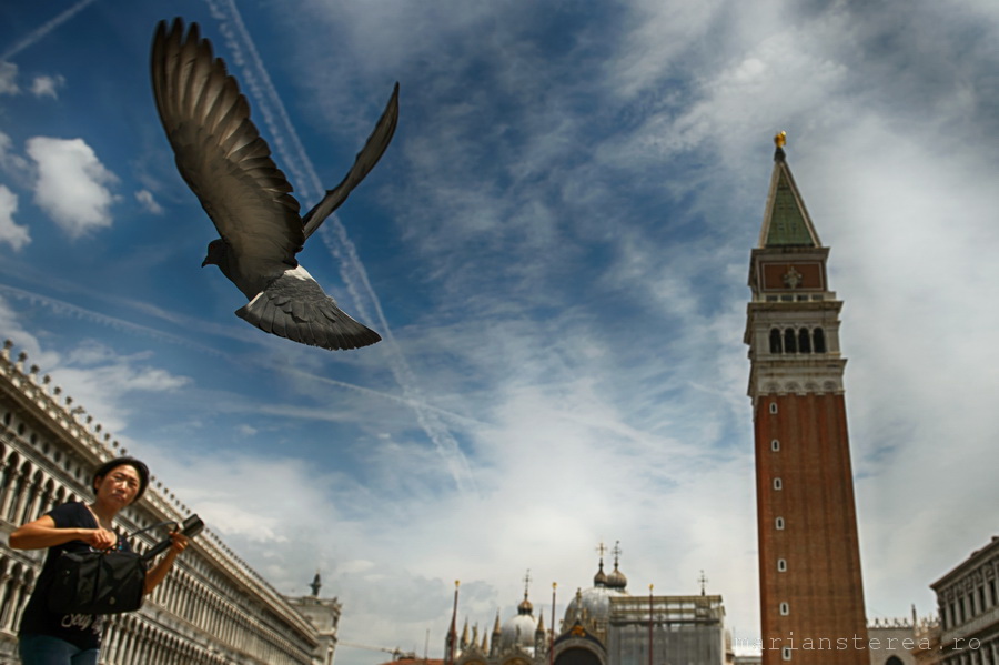 pre wedding proposal in venice 01