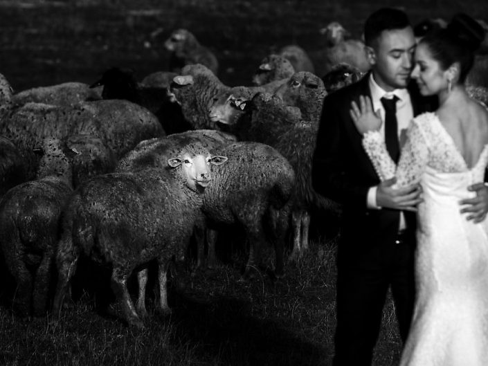 Mirii printre oi, fotografie de nuntă alb-negru