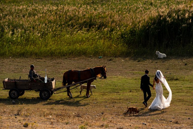Fotografie din „Si-au organizat nunta in 2020 - Ramona si Sebastian”, Marian Sterea